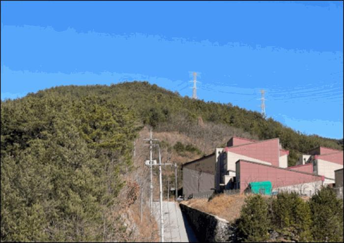 법원경매 2025타경30448 사진3 | 삼척시 원덕읍 노곡리 임야 경매