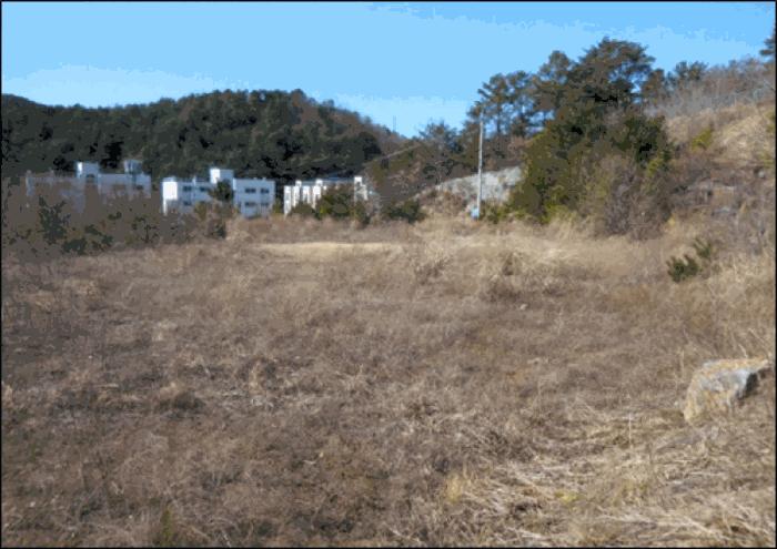 법원경매 2025타경30448 사진6 | 삼척시 원덕읍 노곡리 임야 경매