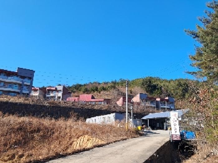 법원경매 2025타경30448 사진9 | 삼척시 원덕읍 노곡리 임야 경매