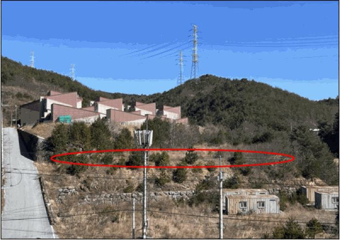 법원경매 2025타경30448 사진2 | 삼척시 원덕읍 노곡리 임야 경매