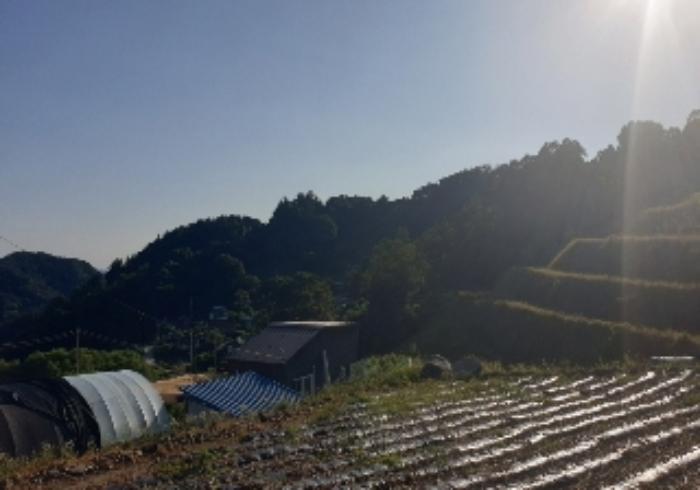 법원경매 2024타경2506 사진20 | 충주시 중앙탑면 장천리 임야 경매