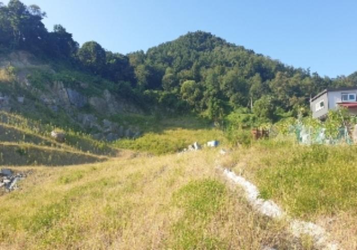 법원경매 2024타경2506 사진21 | 충주시 중앙탑면 장천리 임야 경매