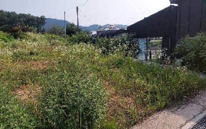 2025타경554 법원경매 사진10 | 충남 아산시 대지 경매