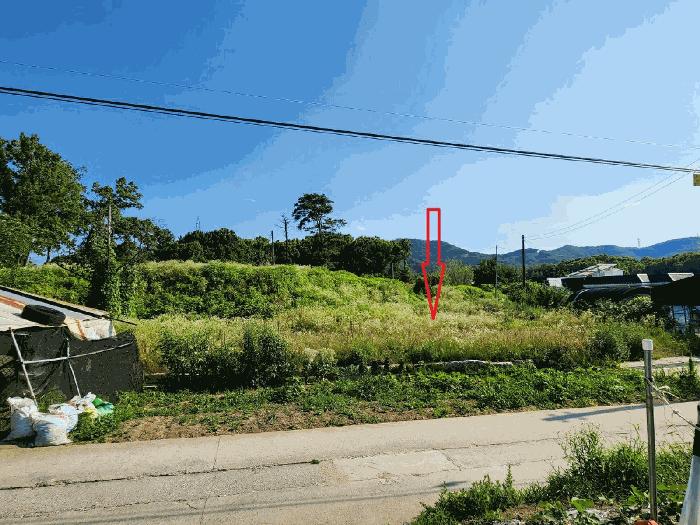 2025타경554 법원경매 사진4 | 충남 아산시 대지 경매