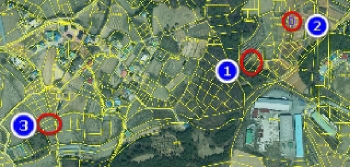 2025타경11746 법원경매 사진13 | 충남 아산시 전 경매