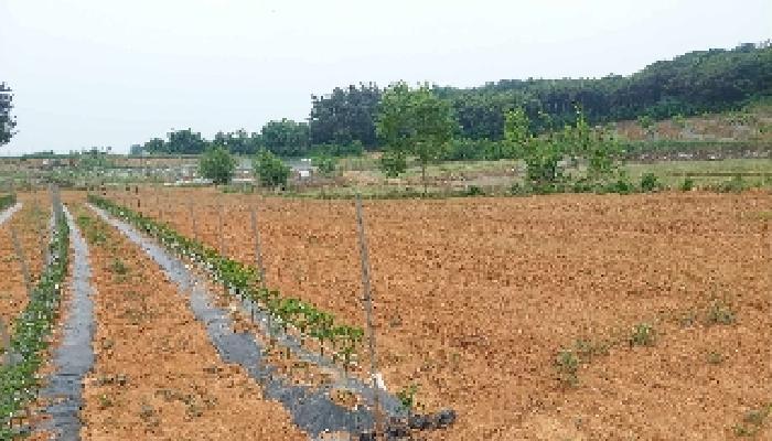 2025타경11746 법원경매 사진21 | 충남 아산시 전 경매
