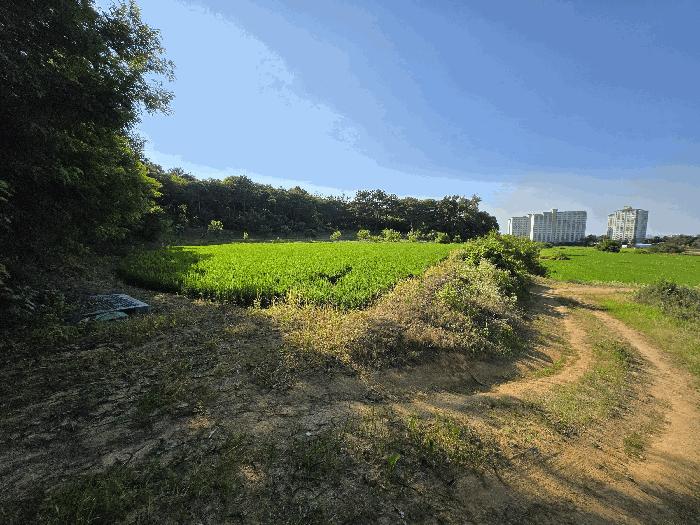 2025타경11746 법원경매 사진6 | 충남 아산시 전 경매