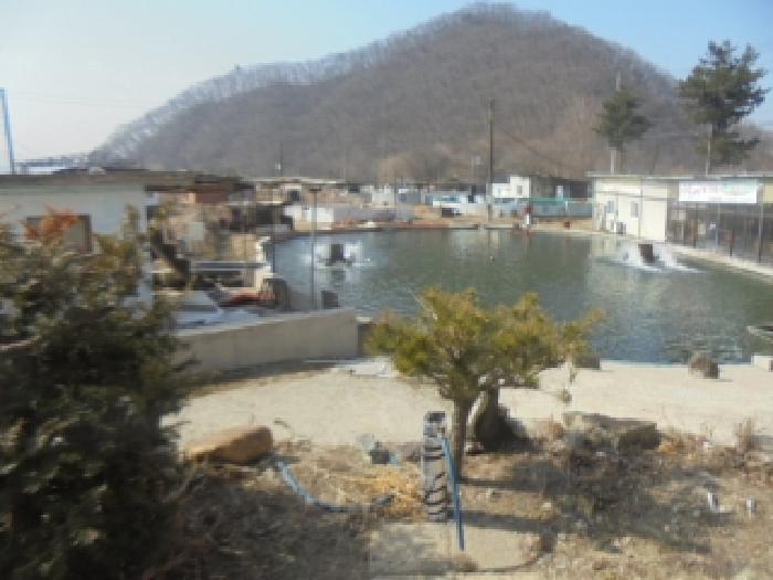 2025타경477 법원경매 사진39 | 충북 충주시 근린주택 경매