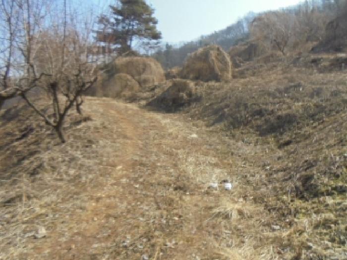 2025타경477 법원경매 사진50 | 충북 충주시 근린주택 경매