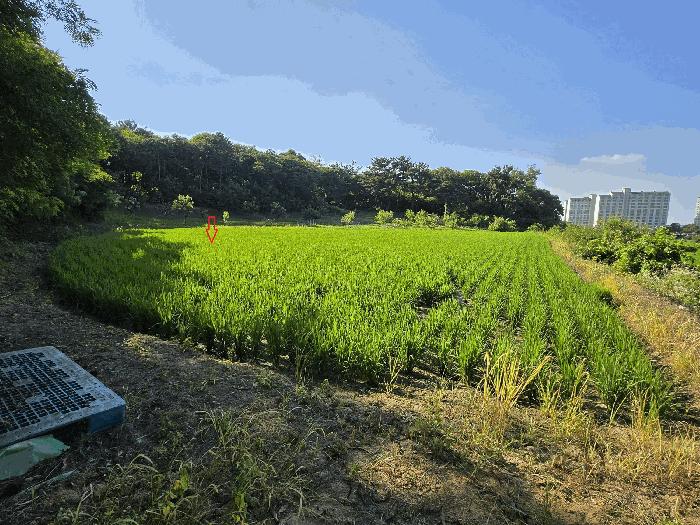 충청남도 아산시 인주면 밀두리 산17-6 법원경매 물건 대표사진