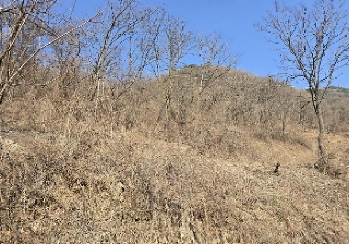 충북 충주시 살미면 향산리 564 전 사진 3