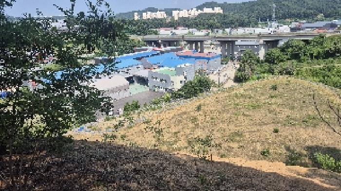 2025타경11809 법원경매 사진19 | 천안 동남구 임야 경매