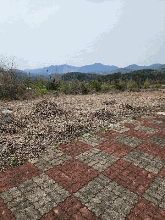 2025타경729 법원경매 사진2 | 충북 충주시 대지 경매