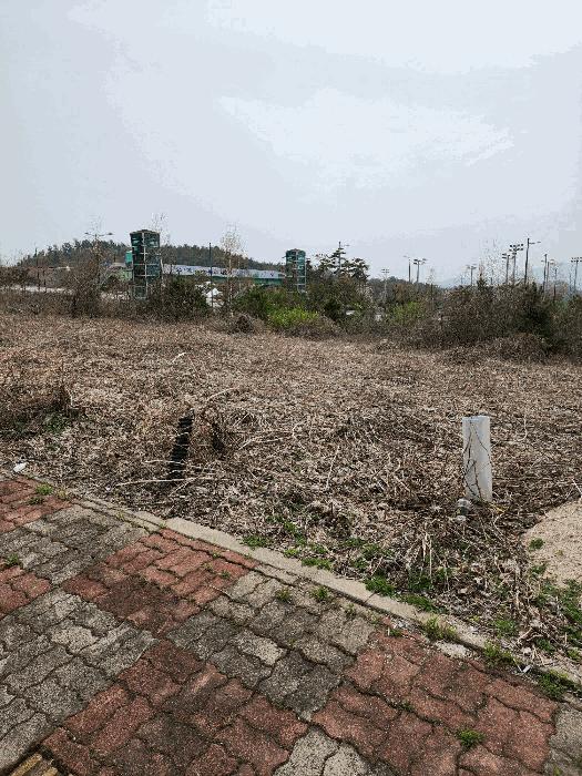 2025타경729 법원경매 사진3 | 충북 충주시 대지 경매