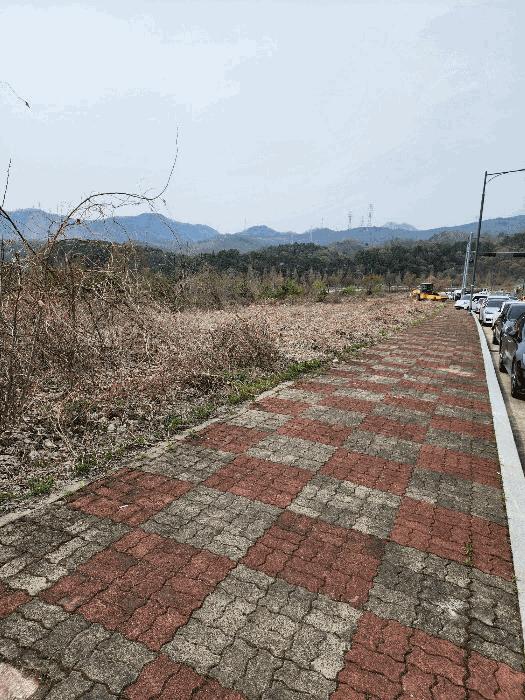 2025타경729 법원경매 사진4 | 충북 충주시 대지 경매