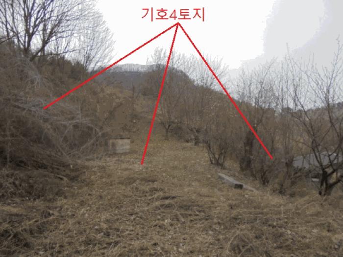 2025타경767 법원경매 사진16 | 충북 충주시 주택건물 경매