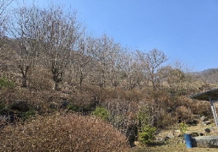 2025타경767 법원경매 사진21 | 충북 충주시 주택건물 경매