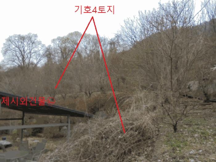 2025타경767 법원경매 사진6 | 충북 충주시 주택건물 경매
