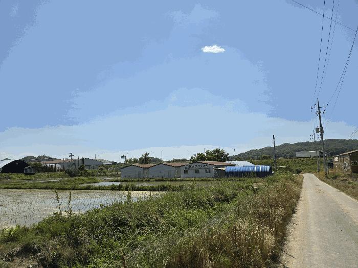 2025타경880 법원경매 사진8 | 충북 음성군 근린시설 경매