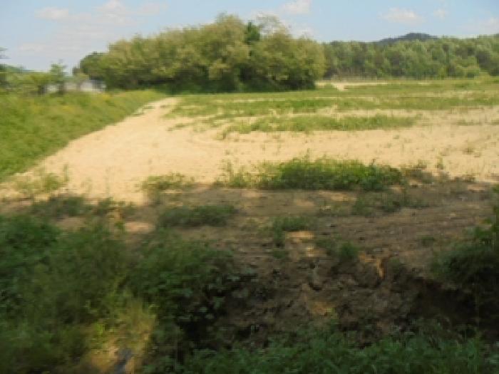 충북 충주시 주덕읍 대곡리 491-1 답 사진 2