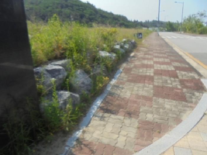 2025타경1029 법원경매 사진19 | 충북 충주시 대지 경매