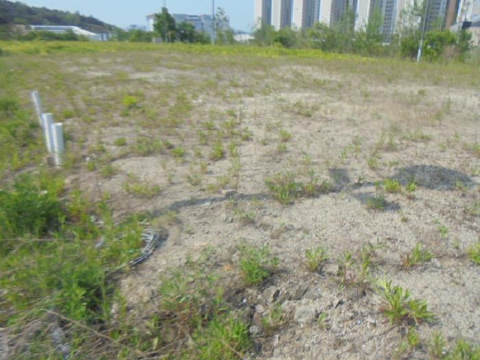 2025타경1029 법원경매 사진7 | 충북 충주시 대지 경매