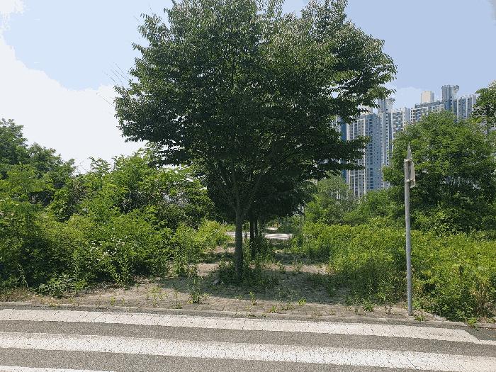 2025타경1173 법원경매 사진2 | 충북 충주시 대지 경매