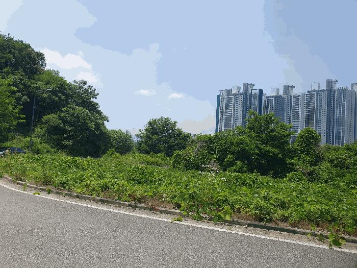 2025타경1173 법원경매 사진3 | 충북 충주시 대지 경매