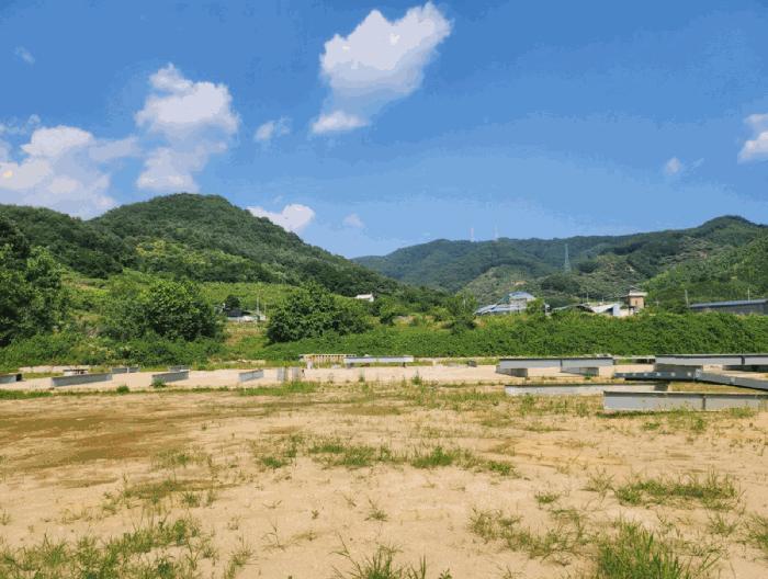 2025타경1319 법원경매 사진12 | 충북 충주시 전답 경매