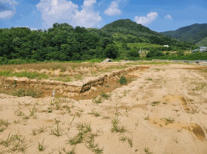 2025타경1319 법원경매 사진6 | 충북 충주시 전답 경매