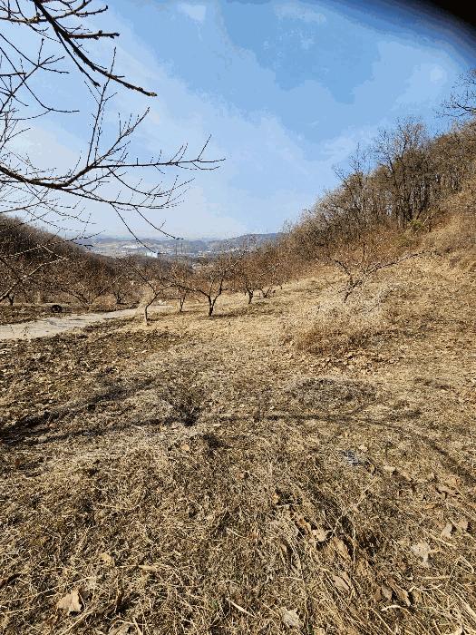 2025타경30379 법원경매 사진17 | 충북 음성군 답 경매