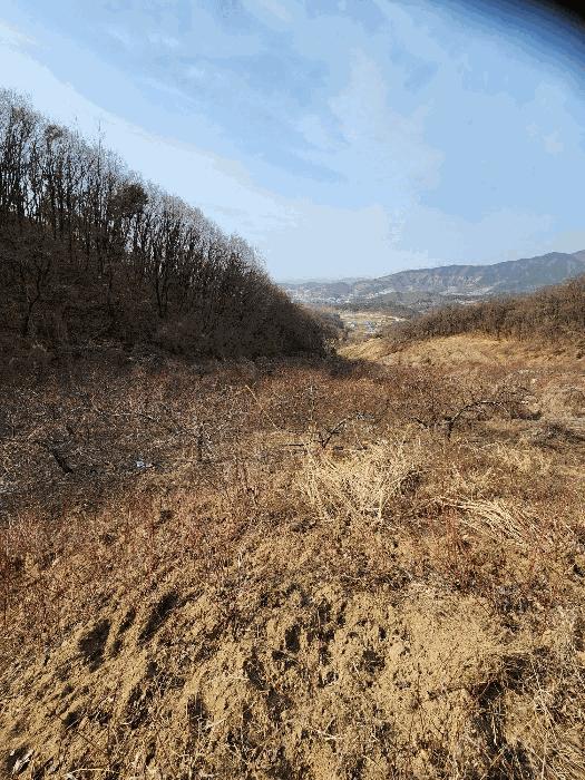 2025타경30379 법원경매 사진18 | 충북 음성군 답 경매