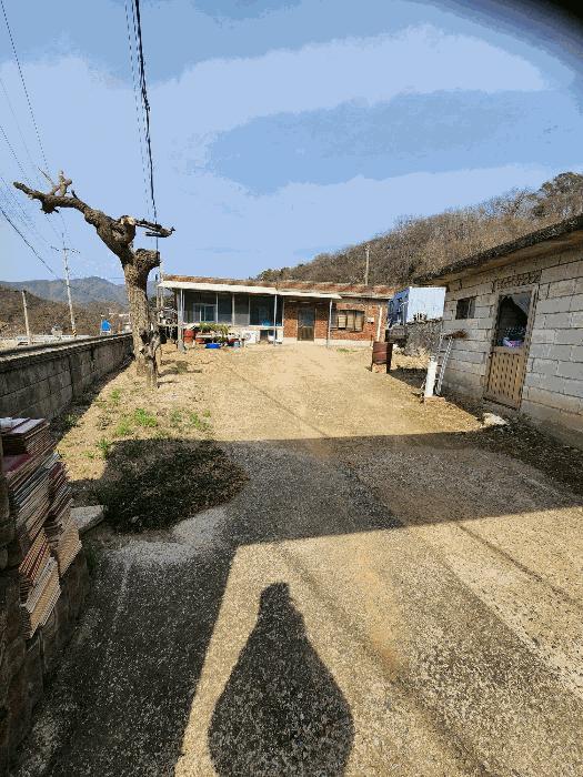 2025타경30379 법원경매 사진2 | 충북 음성군 답 경매
