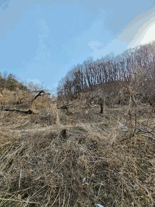 2025타경30379 법원경매 사진5 | 충북 음성군 답 경매