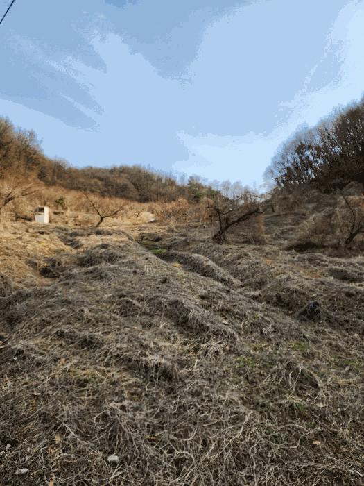 2025타경30379 법원경매 사진12 | 충북 음성군 주택건물 경매