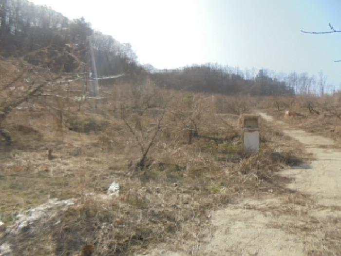 2025타경30379 법원경매 사진31 | 충북 음성군 주택건물 경매