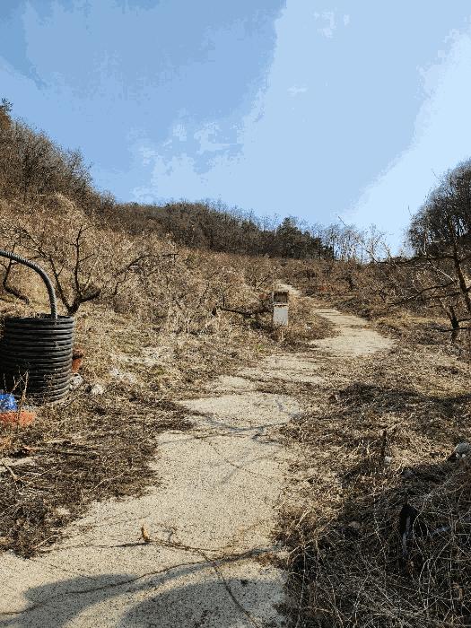 2025타경30379 법원경매 사진4 | 충북 음성군 주택건물 경매