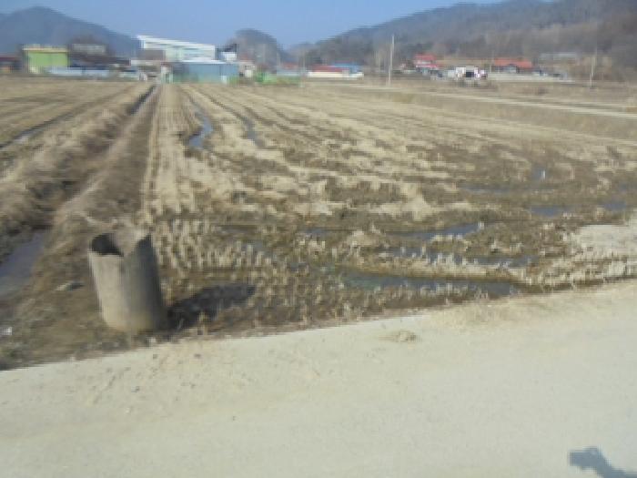 충청북도 음성군 원남면 보룡리 411 법원경매 물건 대표사진