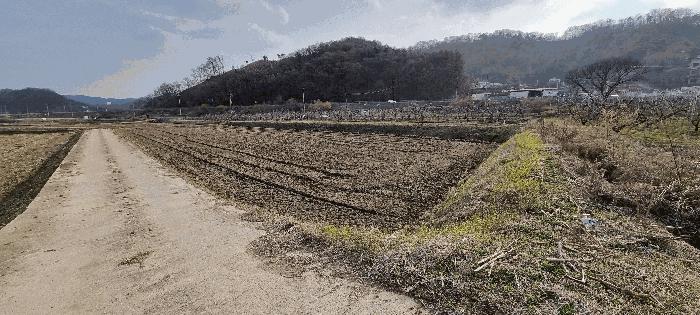 2025타경30452 법원경매 사진5 | 충북 충주시 답 경매