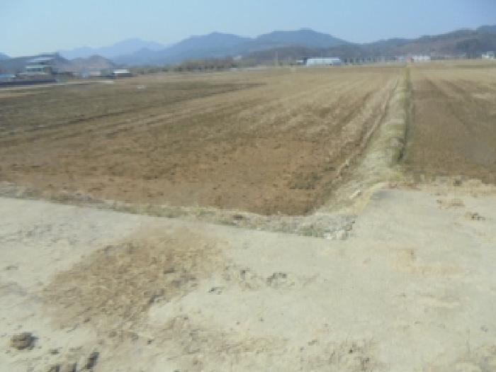 2025타경30452 법원경매 사진7 | 충북 충주시 답 경매