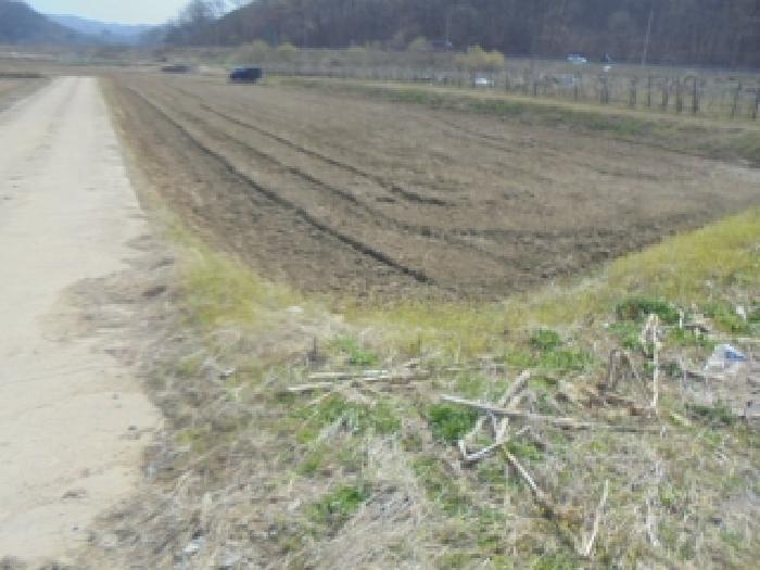 2025타경30452 법원경매 사진8 | 충북 충주시 답 경매