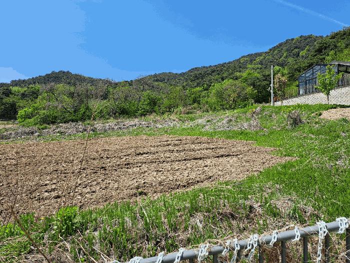 2025타경30506 법원경매 사진9 | 충북 충주시 답 경매