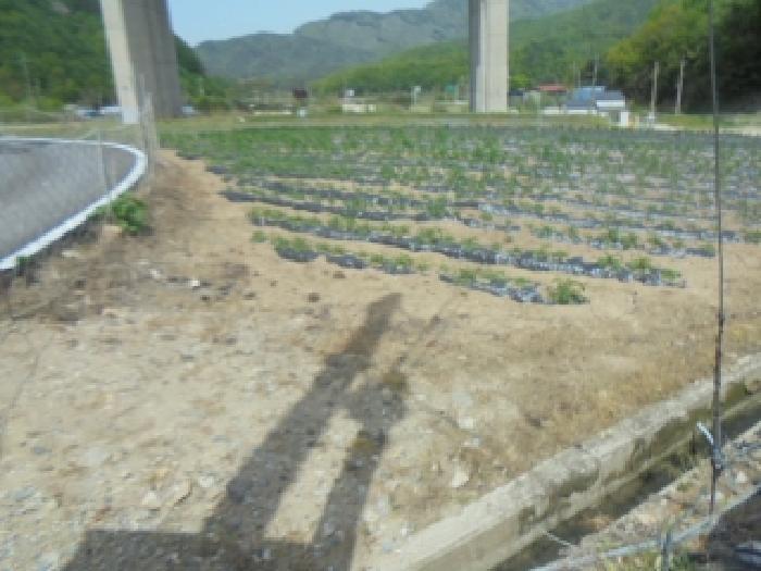 2025타경30515 법원경매 사진6 | 충북 충주시 전 경매