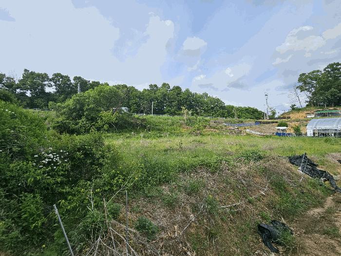 2025타경30550 법원경매 사진6 | 충북 충주시 묘지 경매