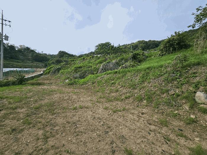 2025타경30550 법원경매 사진7 | 충북 충주시 전 경매