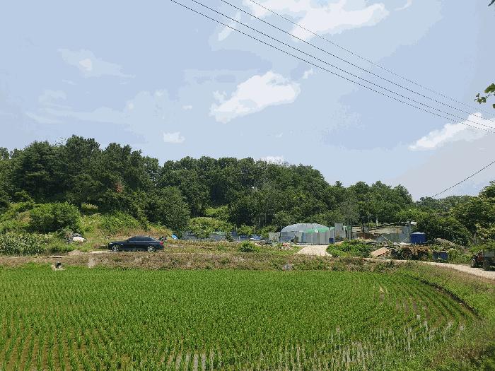 충청북도 충주시 봉방동 272-10 법원경매 물건 대표사진