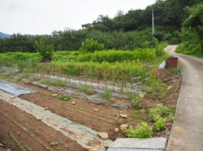 2025타경1714 법원경매 사진7 | 경남 밀양시 대지 경매