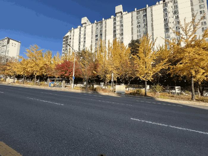 2025타경31852 법원경매 사진11 | 전주 완산구 아파트 경매