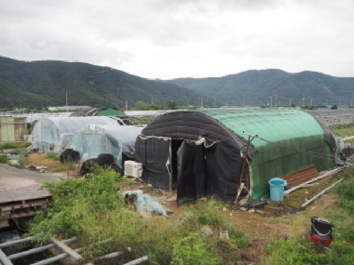 경남 밀양시 산외면 다죽리 883-6 답 사진 6