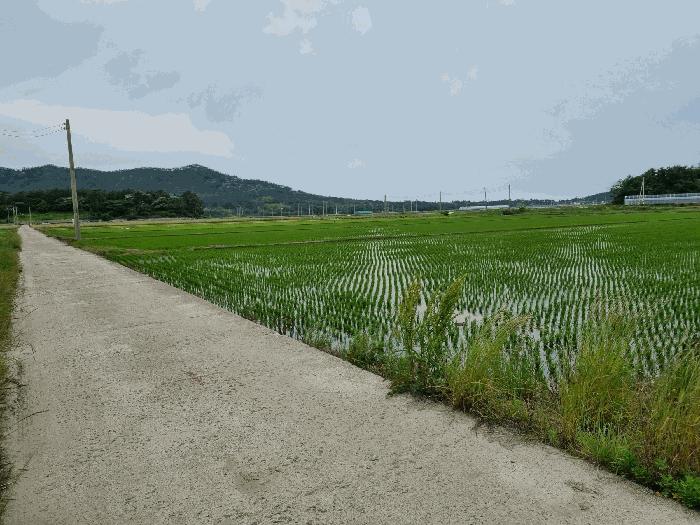 2025타경376 법원경매 사진2 | 전남 신안군 답 경매